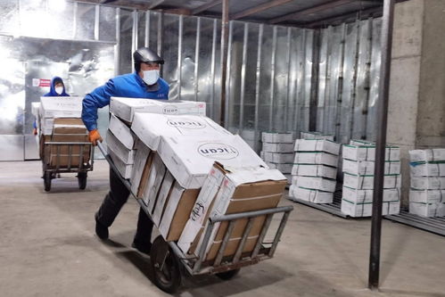 守護“舌尖上的安全” 遼源龍山區(qū)設立冷鏈食品監(jiān)管倉，嚴控日用品銷售安全